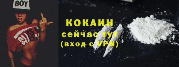 индика Наволоки