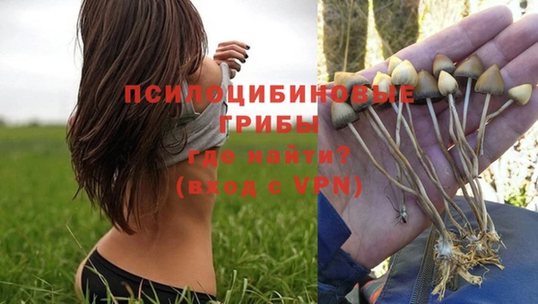 прущая мука Навашино