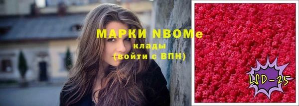 индика Наволоки
