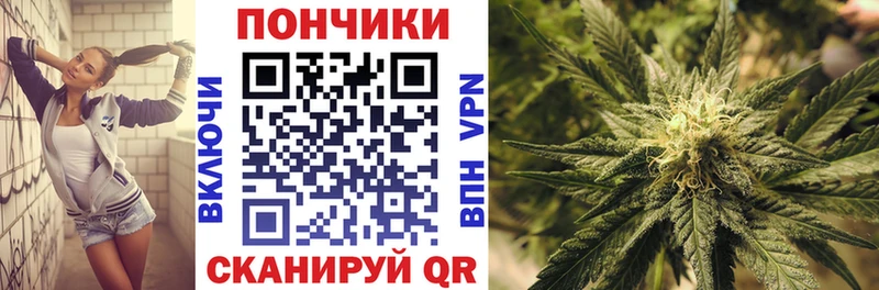 Купить закладки  Нерчинск  Шишки марихуана THC 21% 